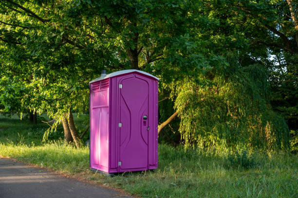 Portable Toilet Options We Offer in Milaca, MN
